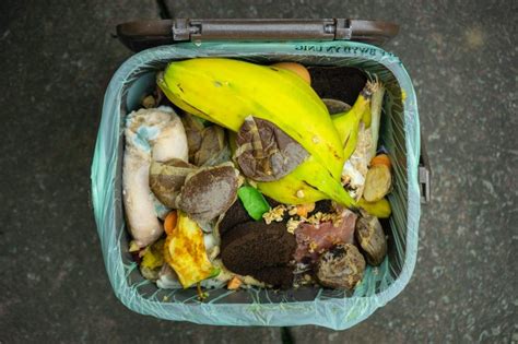 Composting 101 How To Start A Compost Pile In Your Backyard