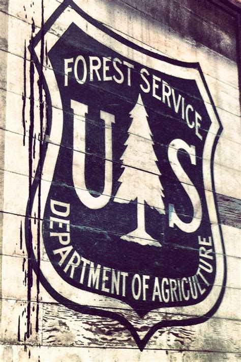 History Of Us Forest Service Us Forest Service Forest Service