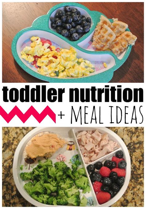 The best food bowls for toddlers. 36 best Food ideas for 1-2 year old images on Pinterest ...