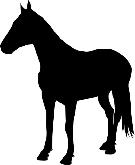 Silhouette Horse Images At Getdrawings Free Download