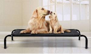 Cozy pet bed ideale per il riposo di cani e. Brandine Per Cani Di Taglia Grande Con Doghe / Brandina ...