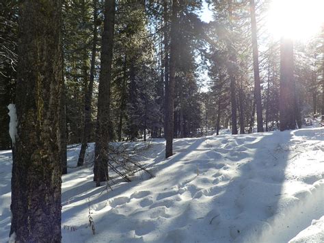 Snowy Meadow Photograph By Noah Hamula Fine Art America