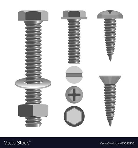 Bolts And Nuts With Different Screw Heads Types Vector Image