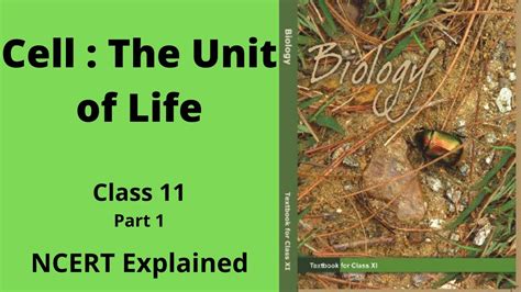 Cell The Unit Of Life Class 11 Biology Part 1 NCERT Fully Explained
