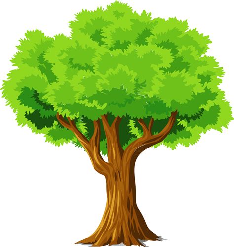 Colorful Natural Tree Vector Clipart Tree Clipart 2130x2244 Png
