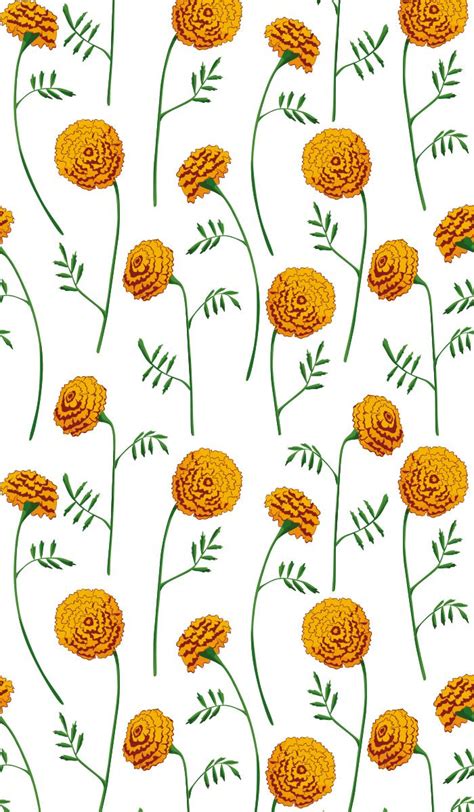 19 отметок «нравится», 0 комментариев — ольга клюшина (@olgaklyushina9) в instagram: Saffron, flowers, floral, orange, Wallpaper, summer ...