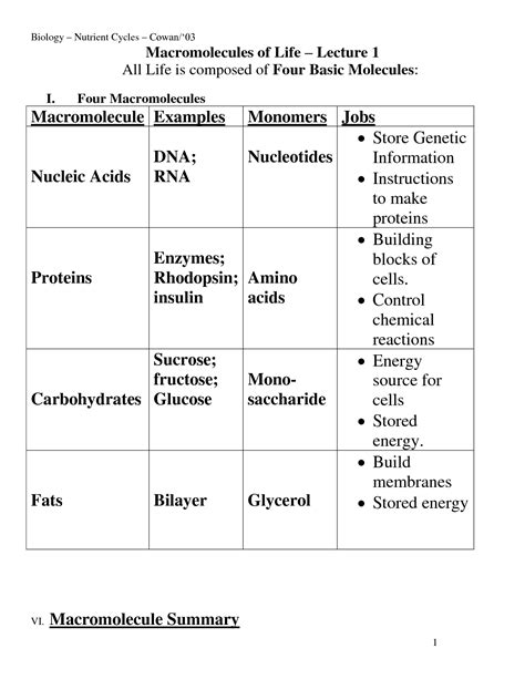 12 Biology Macromolecules Worksheets