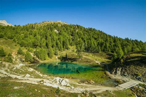 Blue Mountain Lake With Green Pine Forest On A Sunny Morning Stock