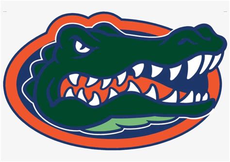 Gator Logo For Web Florida State Basketball Logo Free Transparent