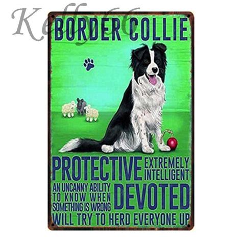 We did not find results for:  Kelly66  Border collie Metal Tin Sign Poster Pet Store ...