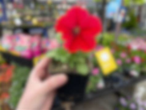 Lowe's Mother's Day Giveaway 2023: What to Know - The Krazy Coupon Lady