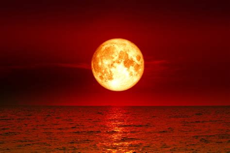In 2021, there will be two eclipses of the moon, two eclipses of the sun, and no transits of mercury. Lunar Eclipse 2021: Blood Moon to be Visible in India ...