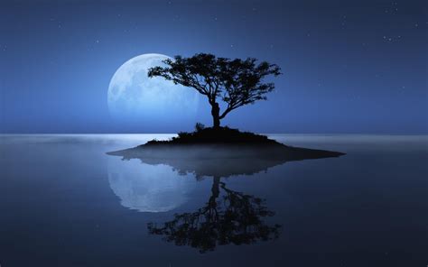 3840x2400 Island Sky Moon Tree 4k Hd 4k Wallpapers Images Backgrounds