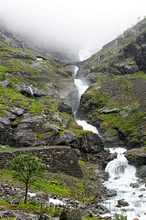 Turkije is een goede voetbalnatie met nieuwe talenten. Uitzicht bij de Trollstigen op de Trollvegen tussen ...