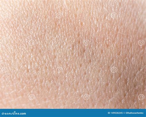 Macro Human Skin Texture Close Up Backdrop Stock Image Image Of