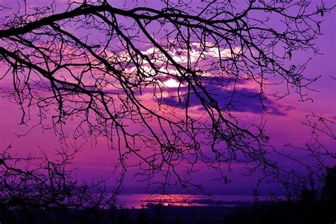 Tramonto Viola Panorama Foto Gratis Su Pixabay