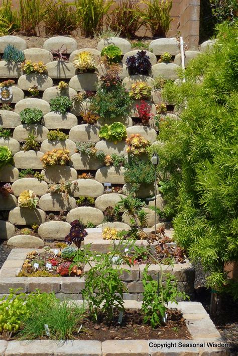 Vertical Succulent Garden Saves Space Looks Great