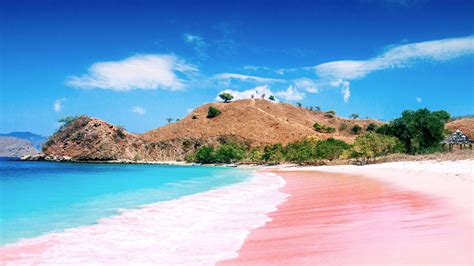 Pink Beach On Komodo Island East Nusa Tenggara Indonesia Windows