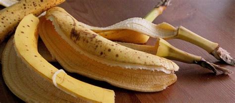 Stop Throwing Away Banana Peels 7 Ways You Can Use Them My Healthygram