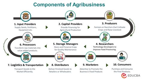 Agribusiness Meaning Examples How It Works Careers