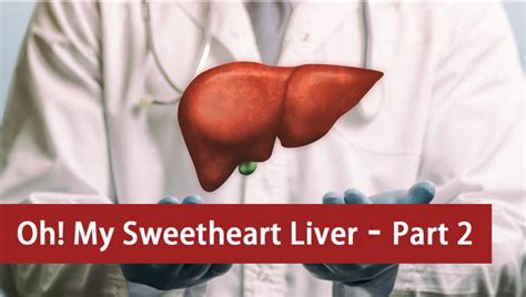 Taking Care Of Your Liver Part 2