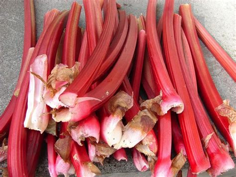 Is Rhubarb A Fruit Or A Vegetable