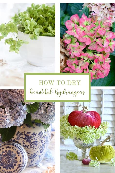 How To Dry Hydrangeas The Easy Way Stonegable