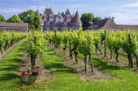 Chateaux And Wine Tasting Tour Bordeaux France Wine Tasting Tours