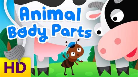 Parts of the body with easy animations in english and tamil this video is about our body parts and its explaining each and every. Learn animal body parts | Funny animated cartoon for kids ...