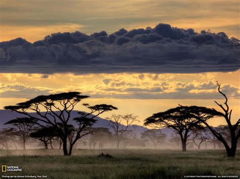 Serengeti Tanzania Paisajes Lugares Increibles Paisaje Increibles