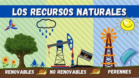 Cuáles son los 4 tipos de recursos naturales Actualizado septiembre