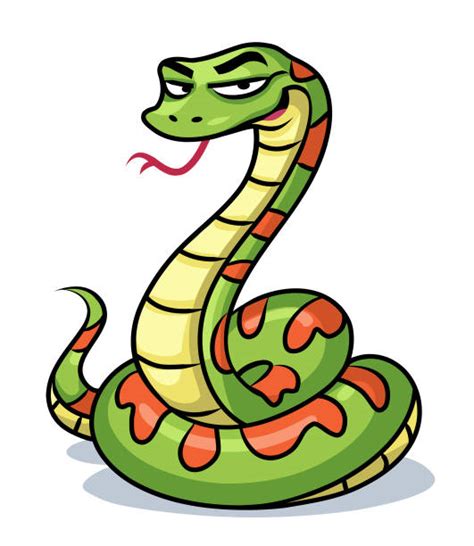 170 Clip Art Of A Anaconda Snakes Illustrations Royalty Free Vector