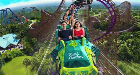 Busch gardens® tampa, the ultimate family adventure, is part of tampa bay citypass®. Busch Gardens & Adventure Island Tampa Both Reopen On 6/11 ...