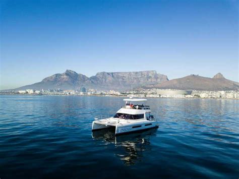 Cape Town Coastal Catamaran Cruise Getyourguide