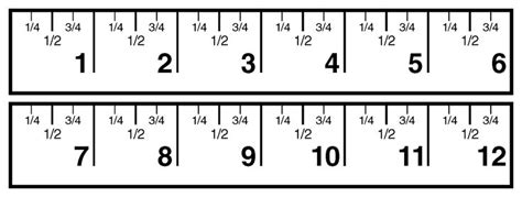 Read A Ruler Inches Learn To Read A Ruler Mr Cochran