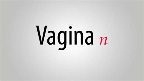 What Is The Meaning Of Vagina Youtube