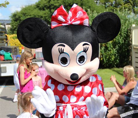 Minnie Mouse Anglesey Bouncy Castle Hire