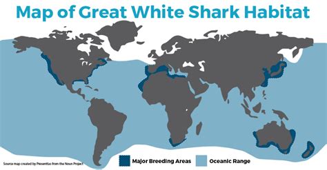 Discover The Great White Shark Habitat Map Seethewild