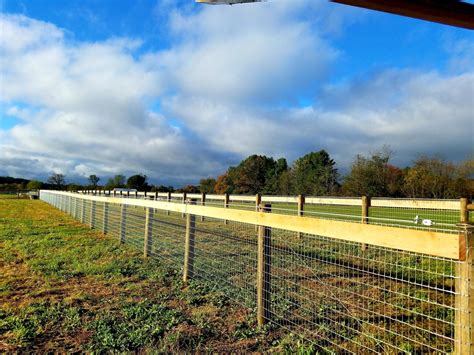 Horse Fencing Wire Mesh Fencing Narvon Pa