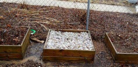 The paper recycling activity can start at school, college, home, office, local community and even at drop off centers. Mulching with Shredded Paper | The Survival Gardener