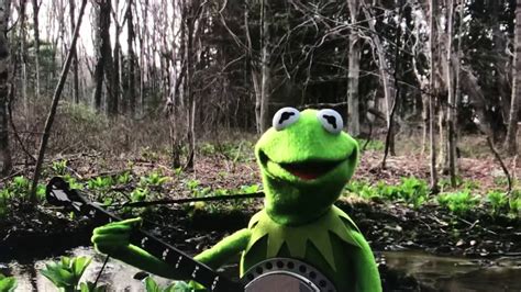 While Social Distancing In His Swamp Kermit The Frog Sings Rainbow