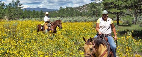 Best Time To Visit The Gila National Forest Geronimo Ranch