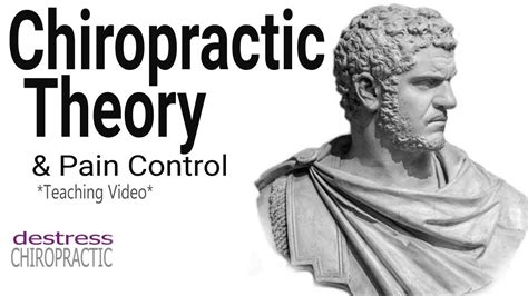 Chiropractic Theory And Pain Control Teaching Video Youtube