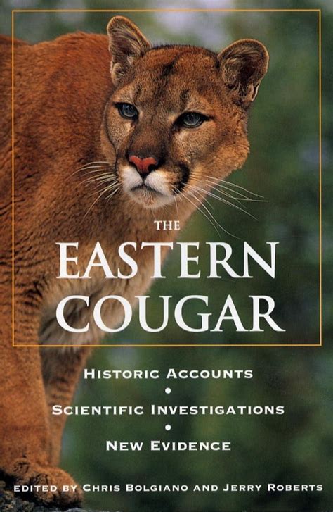 The Eastern Cougar Historic Accounts Scientific Investigations New