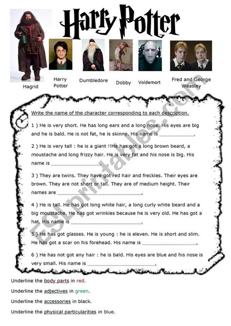Physical Description Harry Potter Characters Esl Worksheet By Steph30