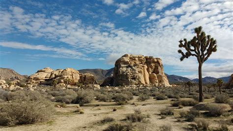 Desert Climbing Joshua Tree Red Rocks February 2017 Varsity
