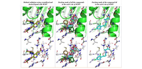 It explores the conformations of ligands within the chimera is a freely available software for noncommercial use and shows advances particularly in its performance, extensibility, visualization. Molecular docking simulation in the active sites of 4EMV ...