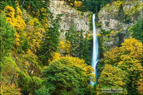 Oregon Fall Color Report Update