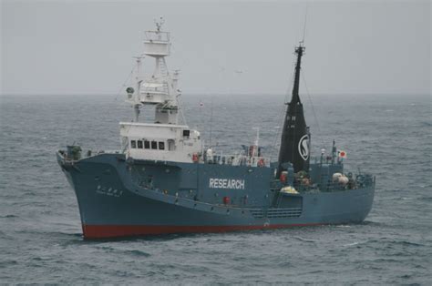 Sea Shepherd Successful In Fending Off Illegal Japanese
