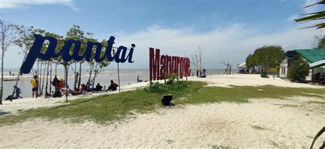 Misalnya terumbu karang sebagai pelindung pantai dan tempat bertelurnya berbagai jenis. Pantai Mangrove Kenalkan Anak Berbagai Jenis Tumbuhan ...